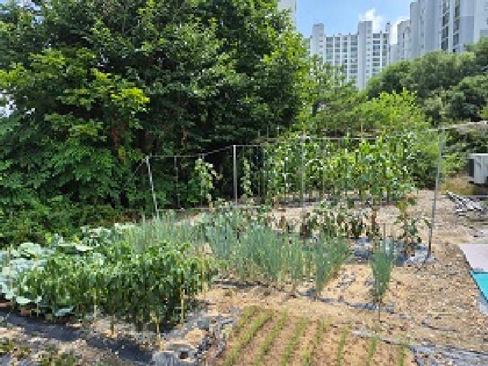 법원경매 2025타경1193 사진11 | 원주시 행구동 1534-7 대지 경매