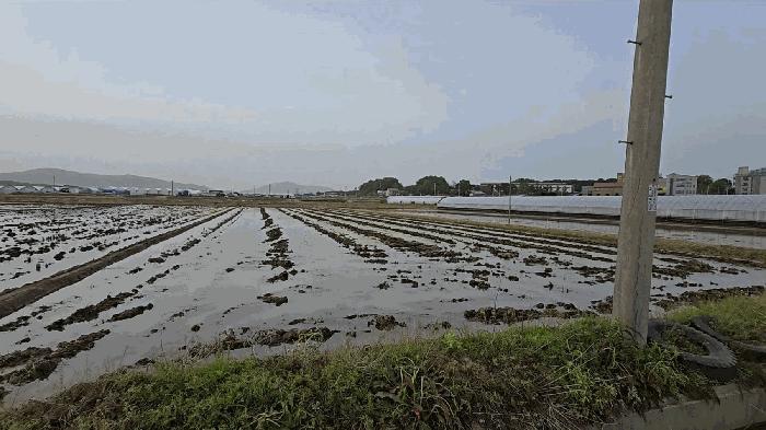 충청북도 음성군 대소면 오류리 327-1 법원경매 물건 대표사진