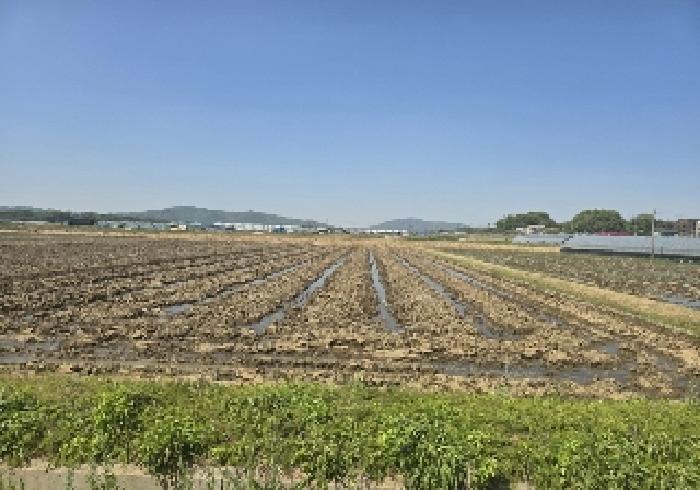 2025타경941 법원경매 사진3 | 충북 음성군 답 경매