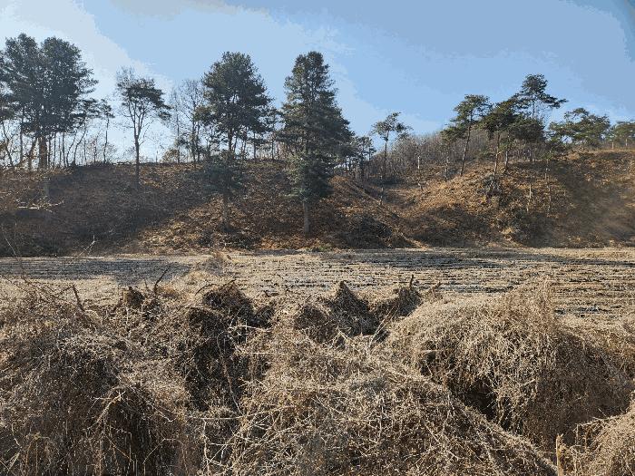 충청북도 충주시 앙성면 조천리 174-1 법원경매 물건 대표사진