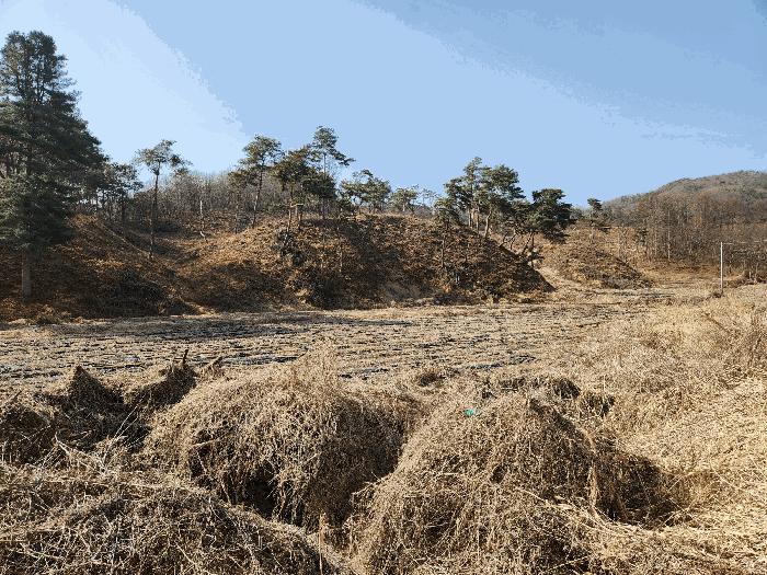 2025타경30399 법원경매 사진2 | 충북 충주시 전 경매