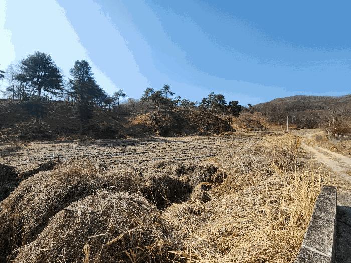 2025타경30399 법원경매 사진7 | 충북 충주시 전 경매