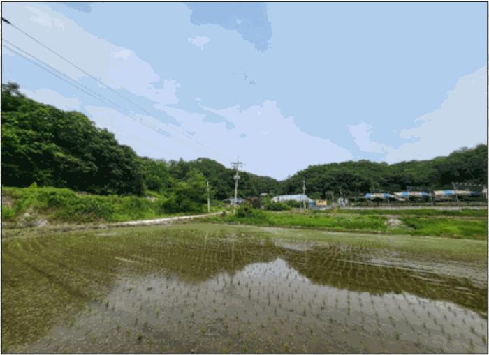 법원경매 2025타경20642 사진2 | 원주시 문막읍 궁촌리 임야 경매