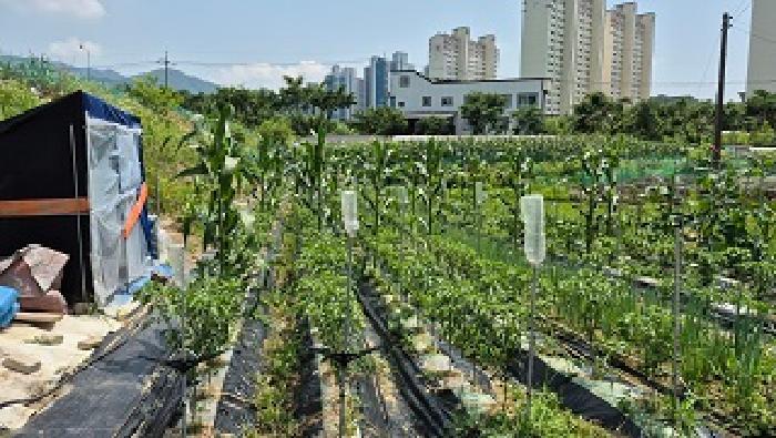 법원경매 2025타경20652 사진6 | 원주시 행구동 1423 답 경매