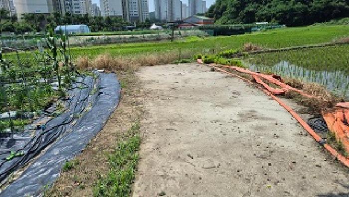 법원경매 2025타경20652 사진7 | 원주시 행구동 1423 답 경매