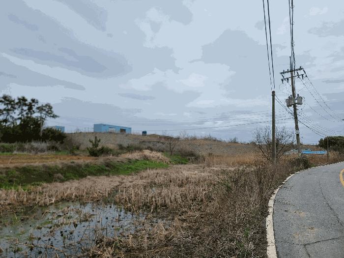 2024타경789 법원경매 사진2 | 전남 무안군 임야 경매