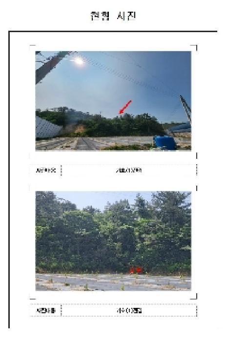 2025타경51120 법원경매 사진2 | 전남 영암군 임야 경매