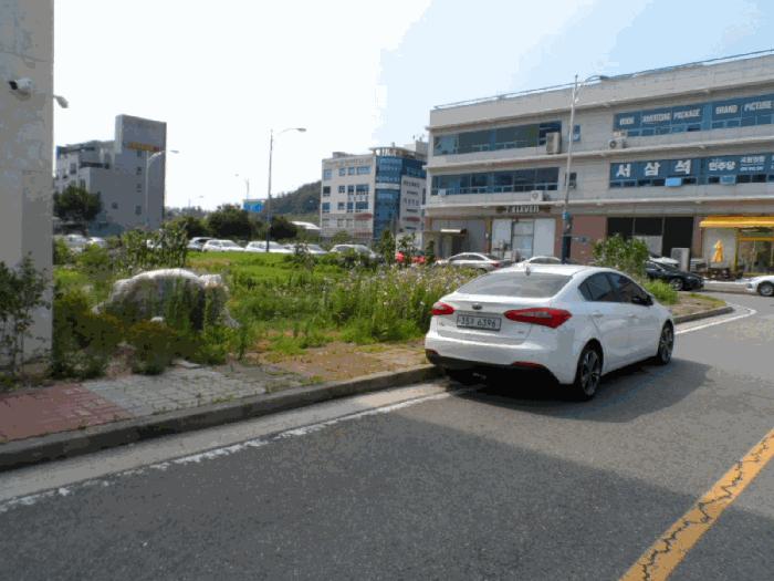 2025타경51209 법원경매 사진3 | 전남 무안군 대지 경매