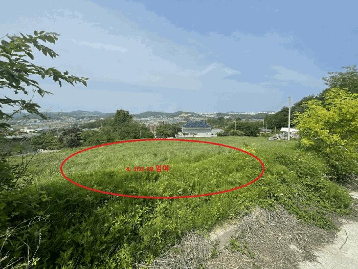 2025타경502365 법원경매 사진2 | 세종 장군면 임야 경매