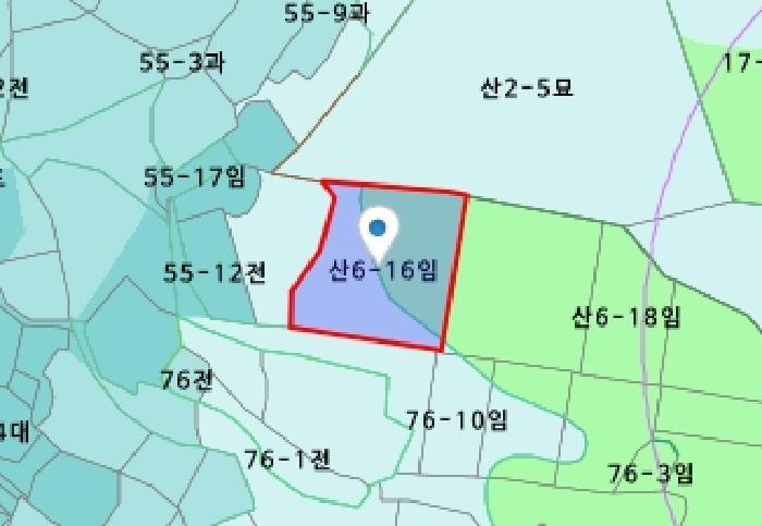 2025타경502452 법원경매 사진10 | 세종 전동면 임야 경매