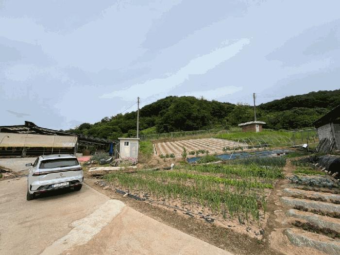 2025타경502452 법원경매 사진2 | 세종 전동면 임야 경매