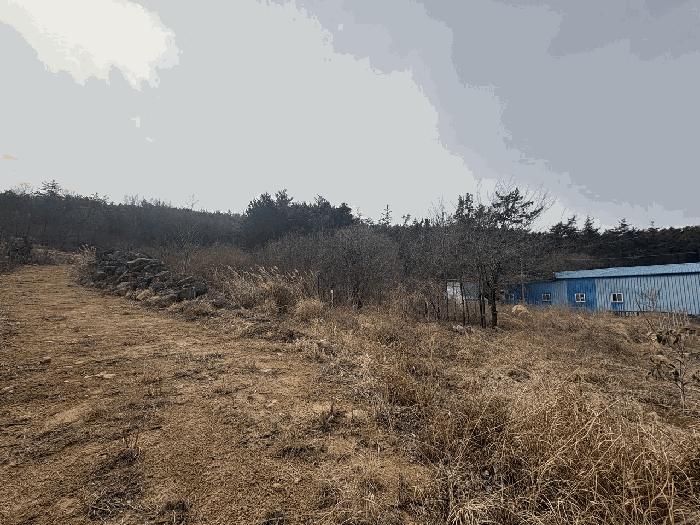 2025타경5173 법원경매 사진10 | 전남 장흥군 전 경매
