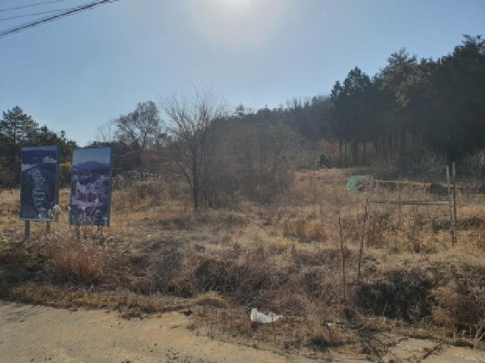 2025타경5173 법원경매 사진11 | 전남 장흥군 전 경매