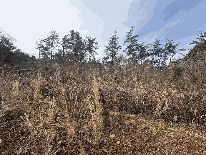 2025타경5173 법원경매 사진2 | 전남 장흥군 전 경매