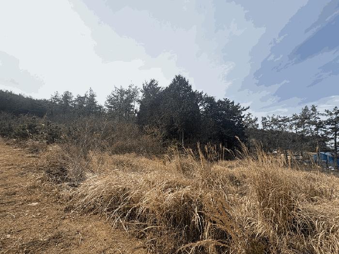 2025타경5173 법원경매 사진4 | 전남 장흥군 전 경매