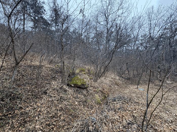 2025타경5173 법원경매 사진5 | 전남 장흥군 전 경매