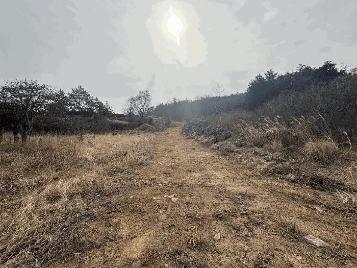 2025타경5173 법원경매 사진8 | 전남 장흥군 전 경매