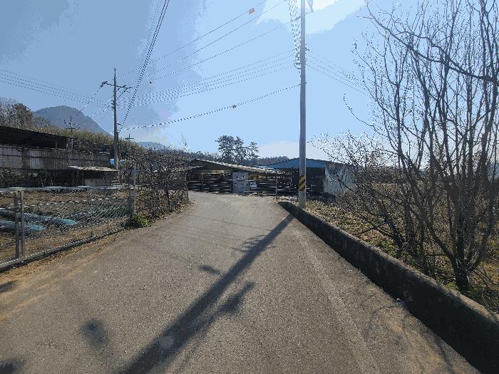2025타경5217 법원경매 사진5 | 전남 장흥군 대지 경매