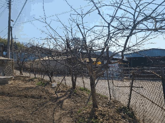 2025타경5217 법원경매 사진8 | 전남 장흥군 대지 경매