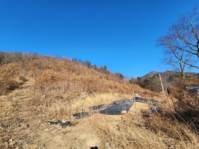 2024타경6667 법원경매 사진2 | 전남 장흥군 답 경매