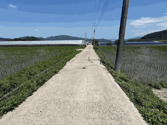 2025타경88 법원경매 사진3 | 전남 강진군 전 경매