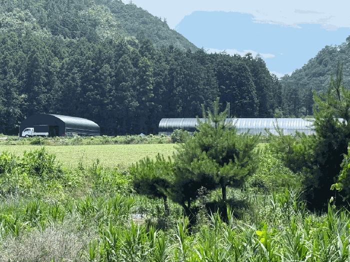 2025타경88 법원경매 사진6 | 전남 강진군 전 경매