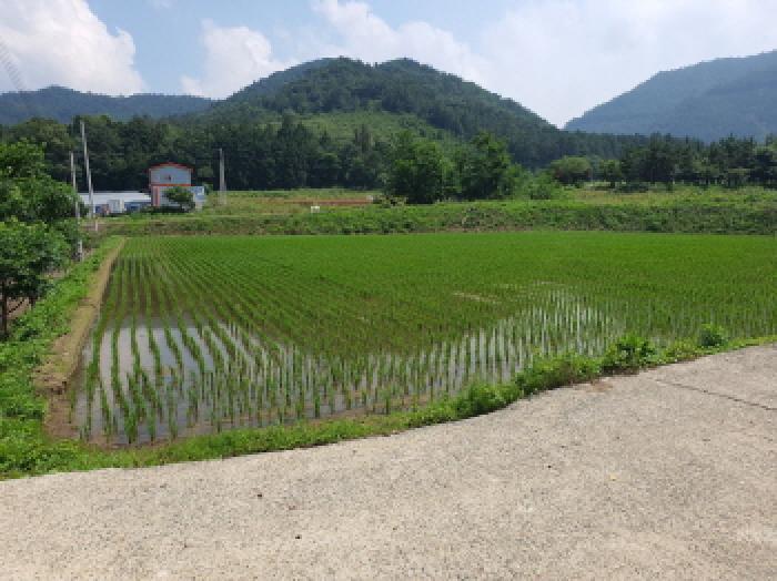 2025타경88 법원경매 사진9 | 전남 강진군 전 경매