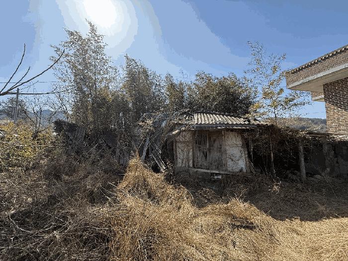 2025타경5199 법원경매 사진3 | 전남 강진군 주택건물 경매