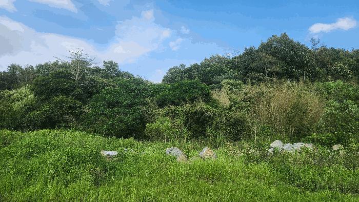 2025타경567 법원경매 사진4 | 전남 순천시 전 경매