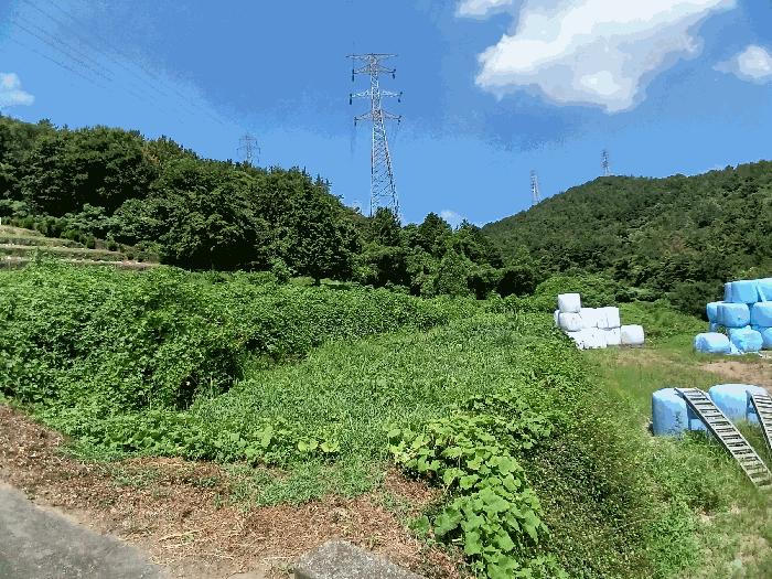 2025타경573 법원경매 사진2 | 전남 여수시 전 경매