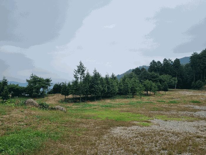 2025타경639 법원경매 사진3 | 전남 광양시 임야 경매