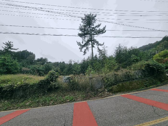 2025타경639 법원경매 사진6 | 전남 광양시 임야 경매
