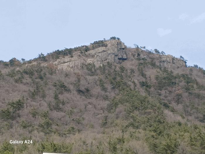 전라남도 여수시 봉계동 산141 법원경매 물건 대표사진