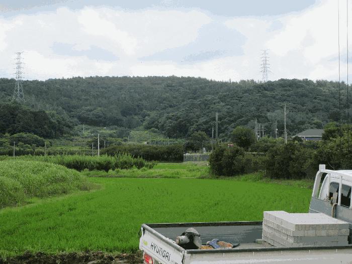 2025타경51606 법원경매 사진2 | 전남 여수시 임야 경매