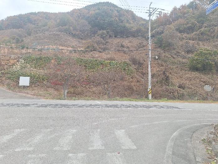 2024타경39365 법원경매 사진6 | 경남 산청군 임야 경매