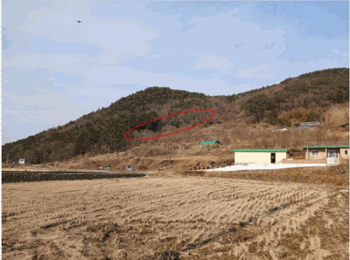 경남 남해군 삼동면 동천리 1338 전 사진 2