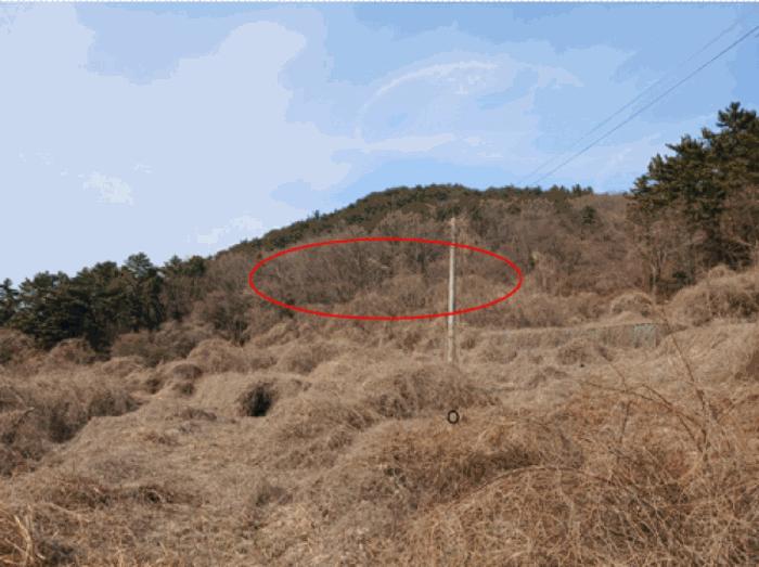 경남 남해군 삼동면 동천리 1338 전 사진 6