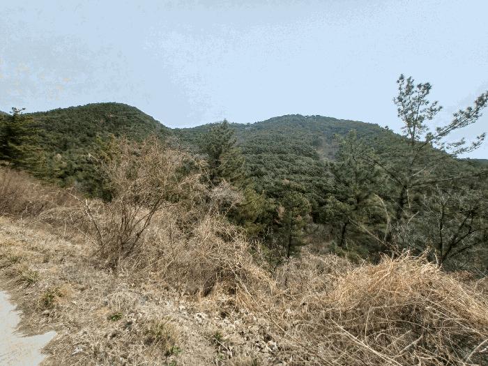 2025타경30640 법원경매 사진3 | 경남 진주시 임야 경매