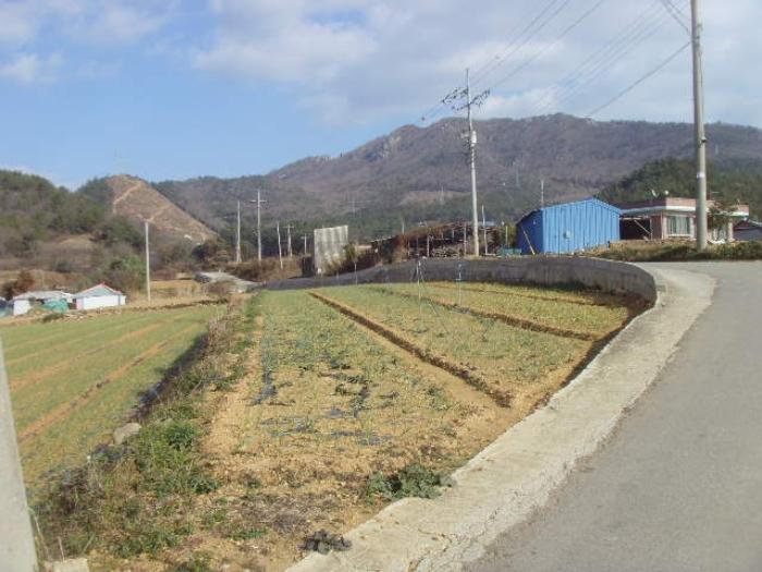 법원경매 2025타경50094 사진5 | 해남군 현산면 조산리 166-11 주택건물 경매