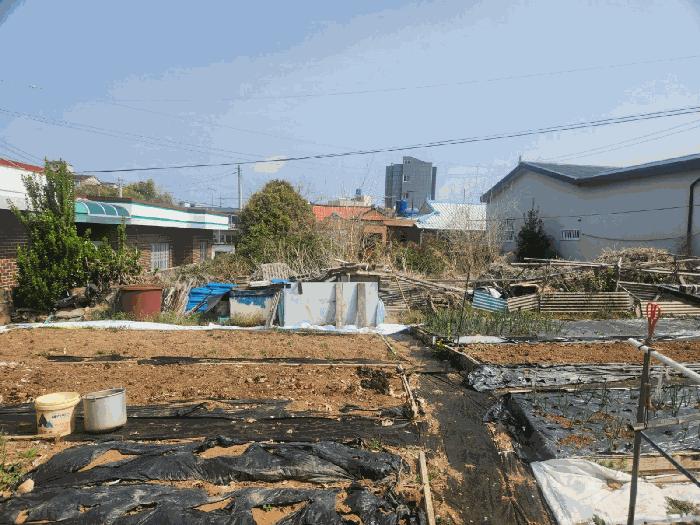 2025타경21212 법원경매 사진7 | 경남 고성군 주택건물 경매