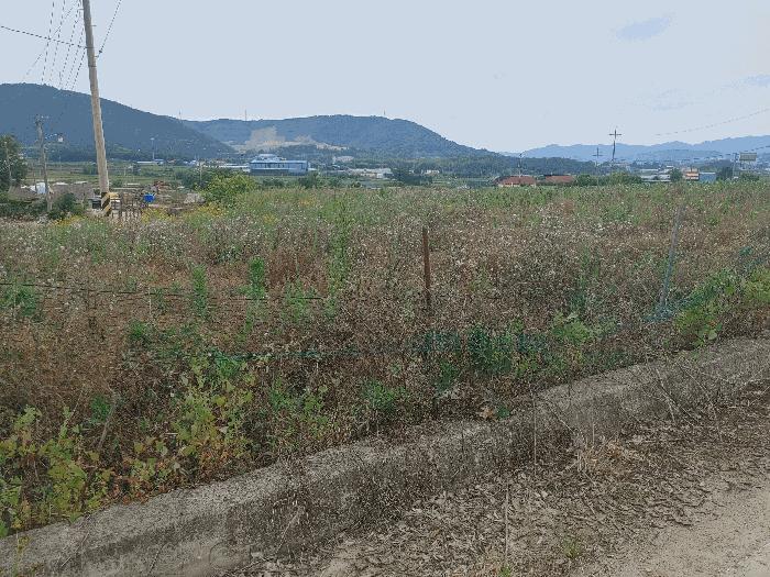 2025타경21457 법원경매 사진2 | 경남 고성군 전 경매