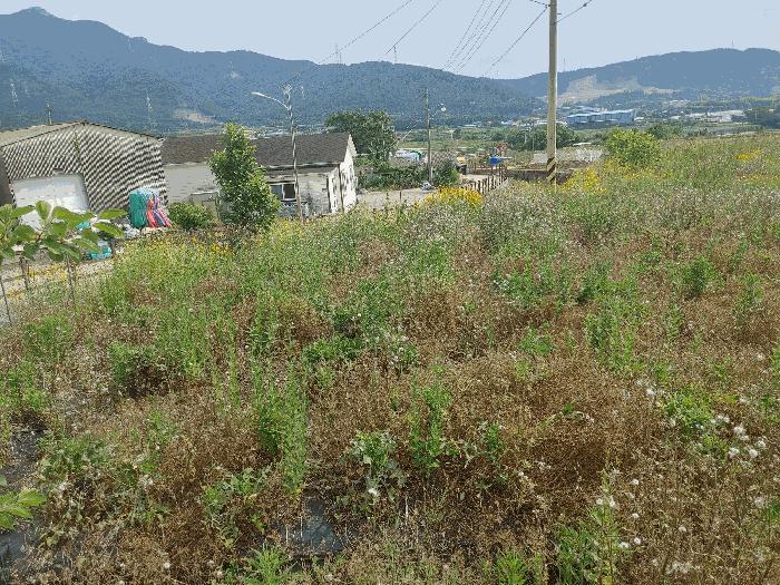 2025타경21457 법원경매 사진3 | 경남 고성군 전 경매