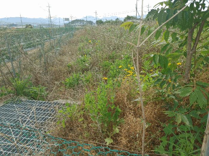 경상남도 고성군 거류면 송산리 204 법원경매 물건 대표사진