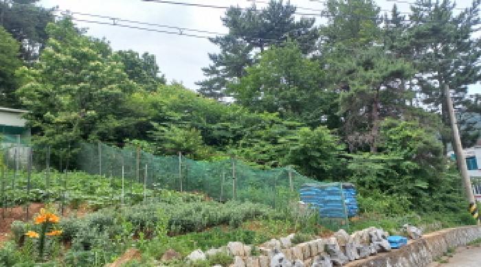 2025타경21490 법원경매 사진14 | 경남 거제시 임야 경매