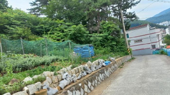 2025타경21490 법원경매 사진18 | 경남 거제시 임야 경매