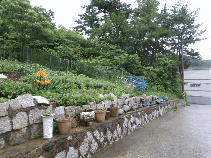 2025타경21490 법원경매 사진3 | 경남 거제시 임야 경매