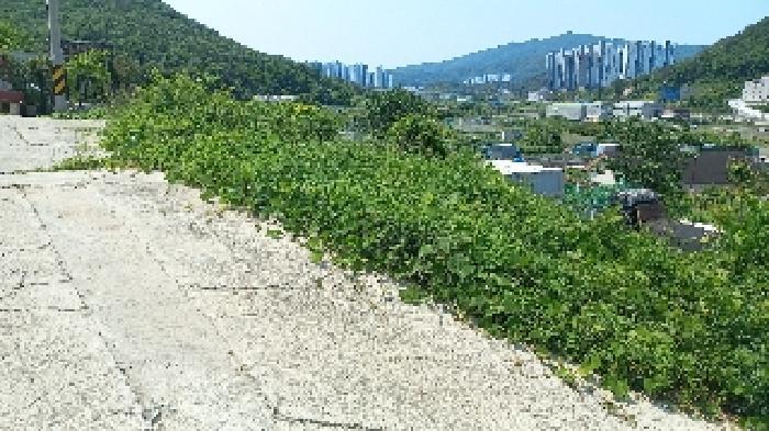 2025타경21422 법원경매 사진10 | 경남 거제시 답 경매
