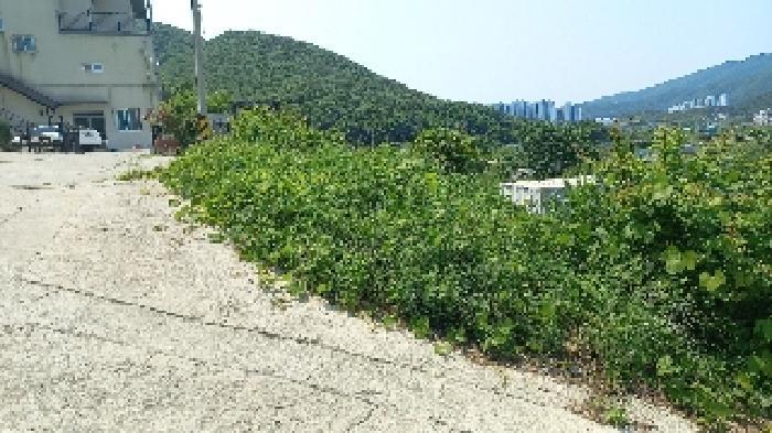 2025타경21422 법원경매 사진9 | 경남 거제시 답 경매