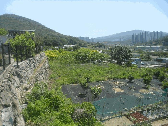 경상남도 거제시 수월동 492-2 법원경매 물건 대표사진