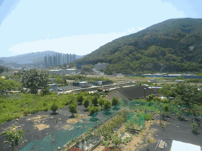 2025타경21422 법원경매 사진4 | 경남 거제시 대지,임야,전답 경매